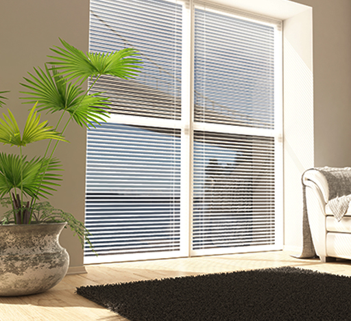 Sunlit room with blinds, a plant, and part of a sofa.